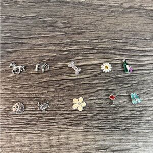Origami Owl Set of 10 Various Charms